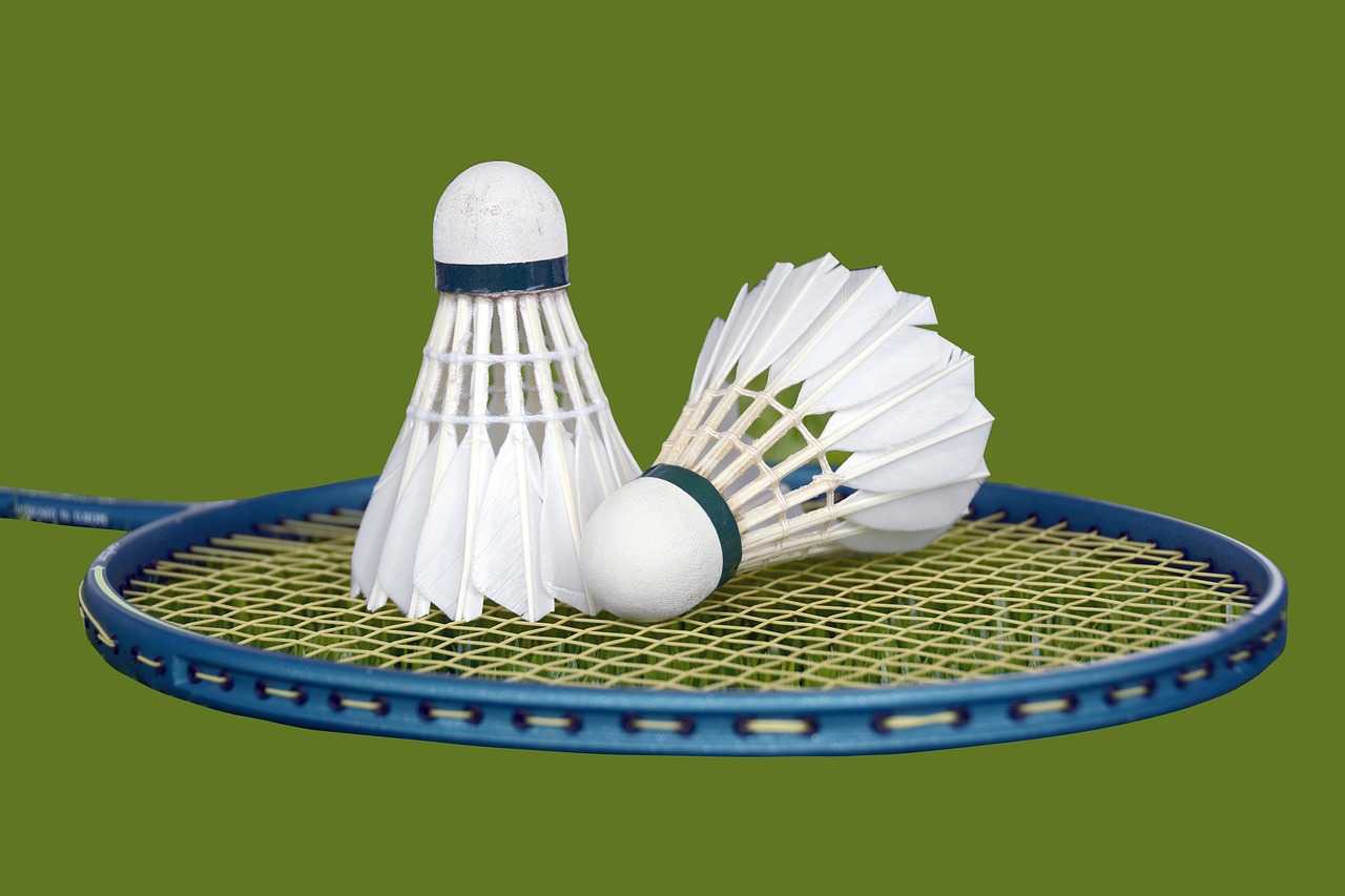 reglas del badminton