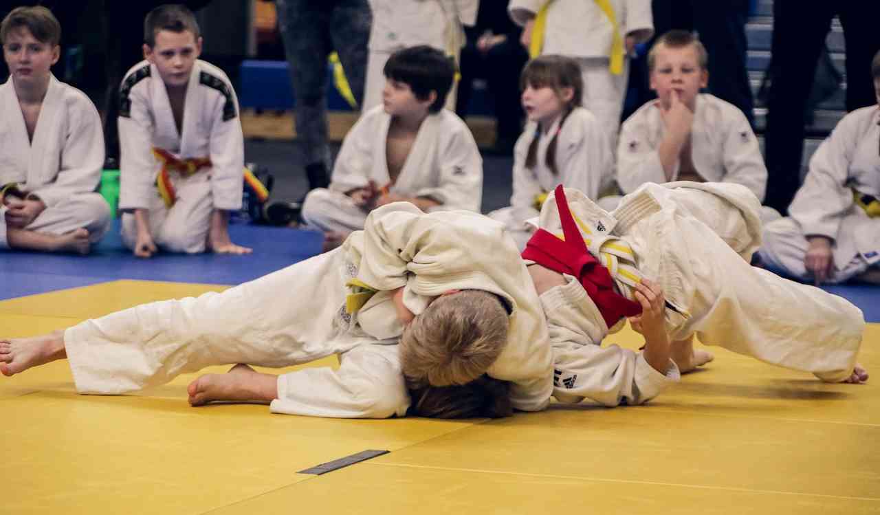 reglas del judo